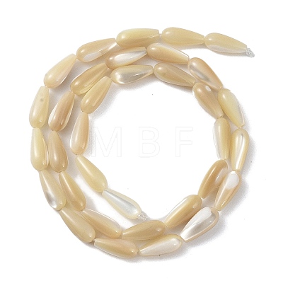 Natural Trochus Shell Beads PEAR-B002-01A-B-1