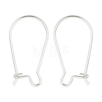 925 Sterling Silver Hoop Earrings STER-S002-55-1