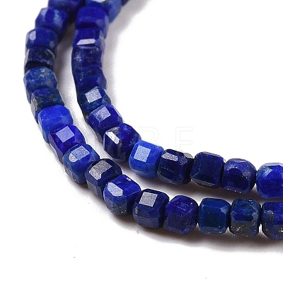 Natural Lapis Lazuli Beads Strands G-C009-B08-1