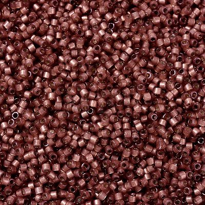 MIYUKI Delica Beads SEED-J020-DB2179-1