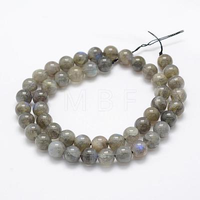 Natural Labradorite Beads Strands G-P322-31-8mm-1