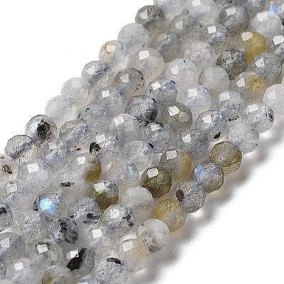 Natural Labradorite Beads Strands X-G-I341-11-1