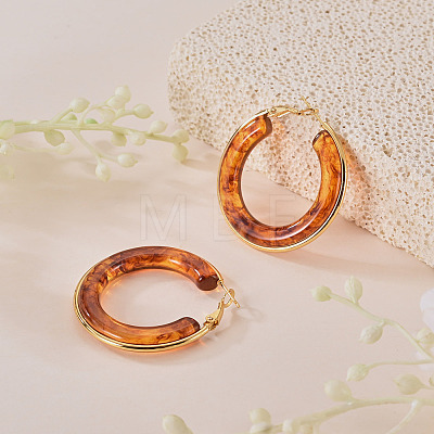 1 Pair 304 Stainless Steel Hoop Earrings EJEW-TA0001-89E-1