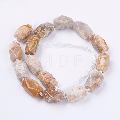 Natural Fossil Coral Beads Strands G-F554-09-1