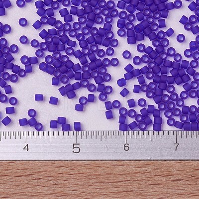 MIYUKI Delica Beads X-SEED-J020-DB0748-1