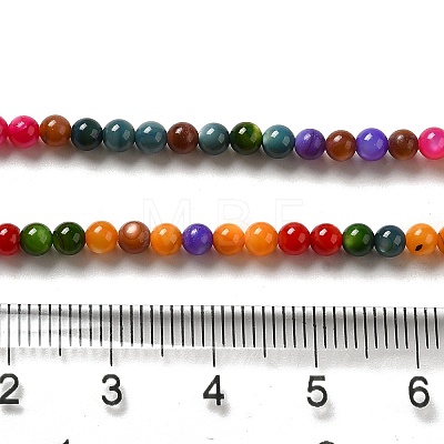 Natural Freshwater Shell Beads Strands SHEL-H003-03H-1