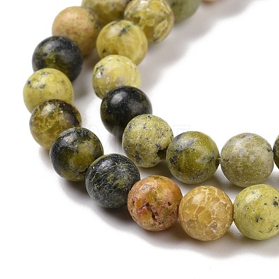 Natural Yellow Turquoise(Jasper) Beads Strands GSR6mmC007-1