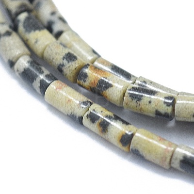 Natural Dalmatian Jasper Beads Strands G-F631-B07-1