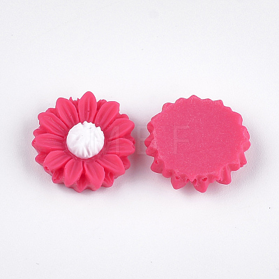 Resin Cabochons CRES-T010-60C-1