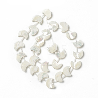 Natural Trochid Shell/Trochus Shell Beads Strands SHEL-F004-01B-1