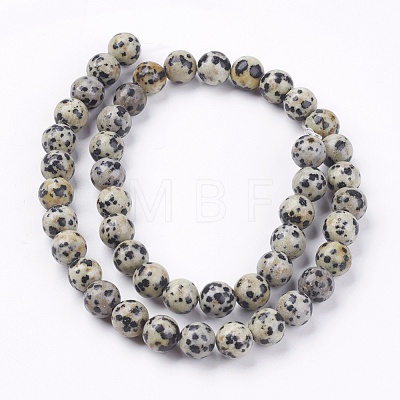 Natural Dalmatian Jasper Stone Bead Strands G-R193-14-8mm-1