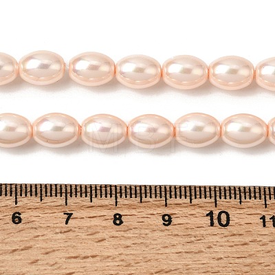 Electroplated Shell Pearl Beads Strands BSHE-B008-07B-1
