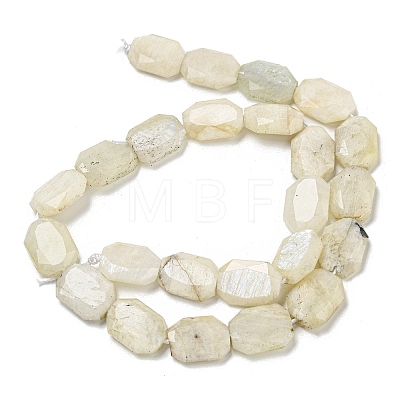 Natural Rainbow Moonstone Beads Strands G-P544-B05-01-1