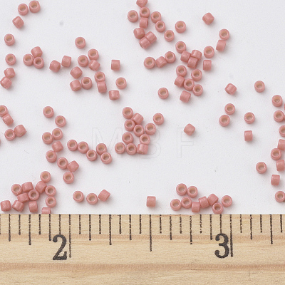 MIYUKI Delica Beads SEED-X0054-DB2114-1
