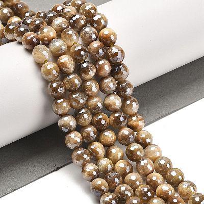 Electroplated Natural Tiger Eye Round Beads Strands G-L598-A04-02-1