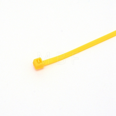 Plastic Cable Ties KY-CJC0004-01D-1