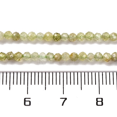 Natural Green Garnet Beads Strands G-A235-A02-01-1