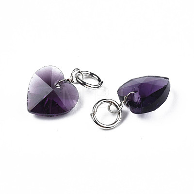 Faceted Transparent Glass Charms GLAA-T024-04A-1