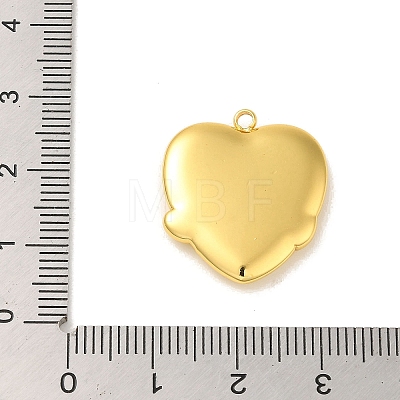 304 Stainless Steel Pendants STAS-Q322-26G-04-1