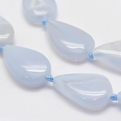 Natural Blue Lace Agate Beads Strands G-G695-01-1