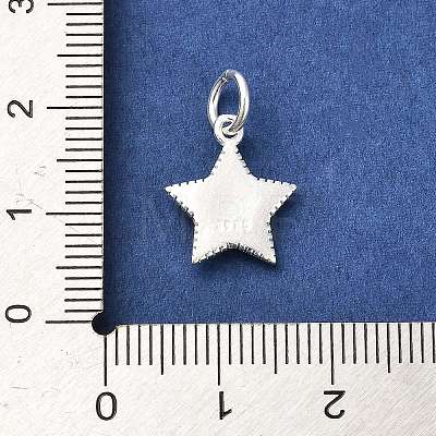 Sterling Silver Charms STER-E070-03H-1