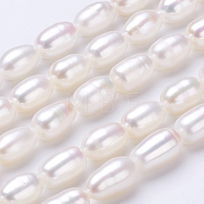 Natural Cultured Freshwater Pearl Beads Strands PEAR-P002-23-1