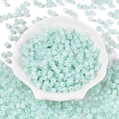 Glass Seed Beads SEED-T008-01E-1