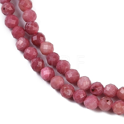 Natural Rhodonite Beads Strands G-P553-G06-02-1