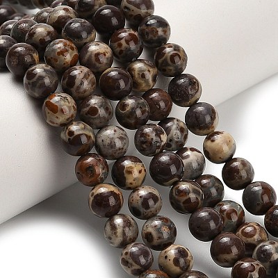 Natural Astroite Jasper Beads Strands G-H329-C02-6mm-1