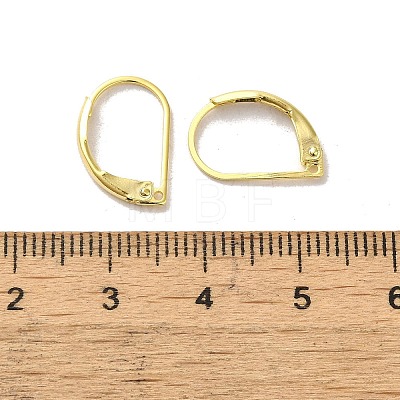 Brass Leverback Earring Findings FIND-Z039-27G-1