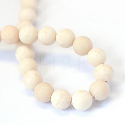 Frosted Natural Fossil Round Bead Strands G-E334-4mm-22-1