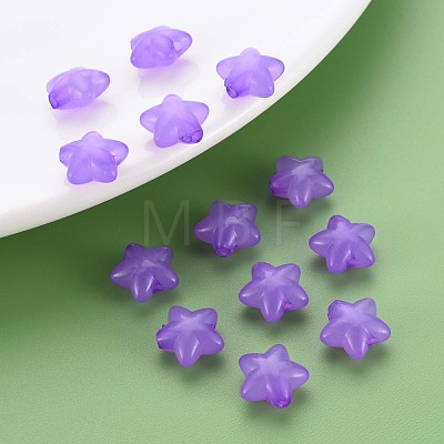 Transparent Acrylic Beads MACR-S373-26E-01-1