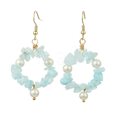 Natural Gemstone Beaded Dangle Earrings EJEW-JE07215-1