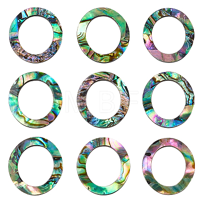 25Pcs Natural Abalone Shell/Paua Shell Cabochons SHEL-WR0001-01-1