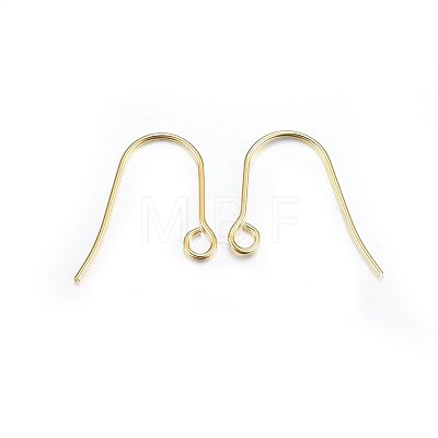 304 Stainless Steel Earring Hooks X-STAS-P210-21G-1