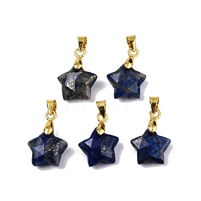 Natural Lapis Lazuli Charms G-N326-142-02-1