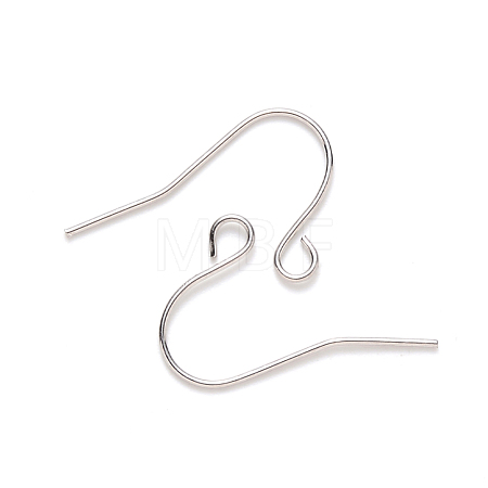 Tarnish Resistant 304 Stainless Steel Earring Hooks STAS-S111-009-1