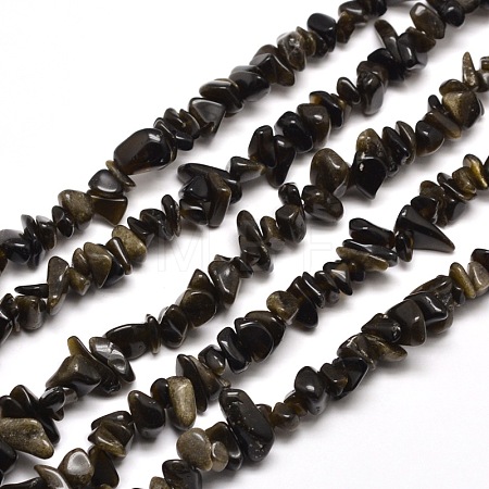 Natural Golden Sheen Obsidian Chip Bead Strands X-G-M205-07-1