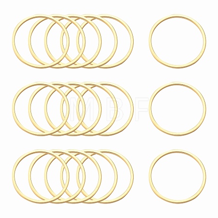 Ion Plating(IP) 304 Stainless Steel Linking Ring STAS-S079-13-B03-NF-1