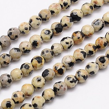 Natural Dalmation Jasper Beads Strands G-G545-11-1