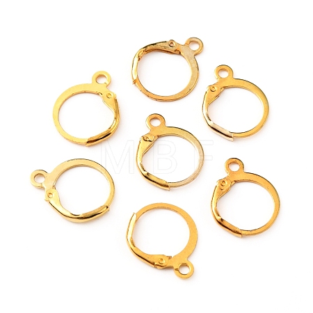 Brass Leverback Earring Findings FIND-WH0125-13G-1