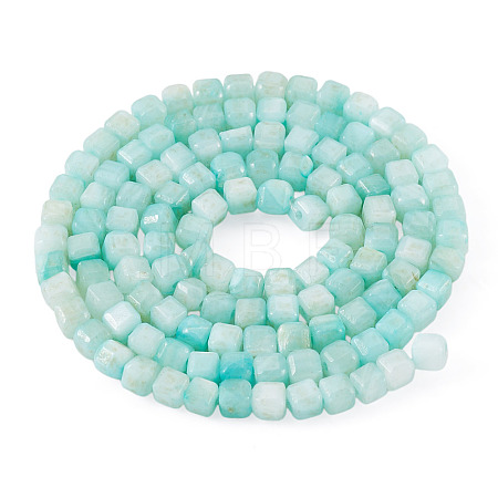 1 Strand Natural Freshwater Shell Dyed Beads Strands SHEL-TA0001-44A-1