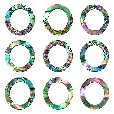 25Pcs Natural Abalone Shell/Paua Shell Cabochons SHEL-WR0001-01-1