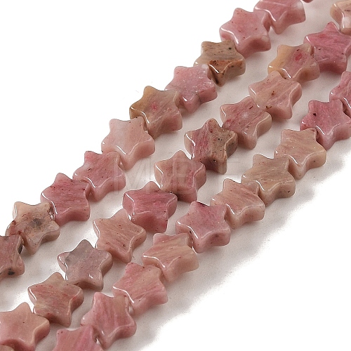 Natural Rhodonite Beads Strands G-G085-B34-02-1