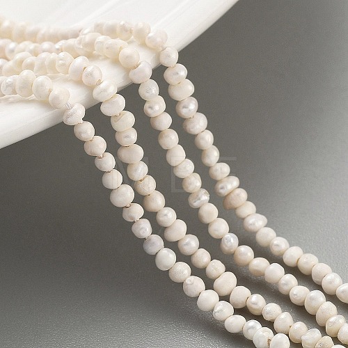 Natural Cultured Freshwater Pearl Beads Strands PEAR-C003-04A-1