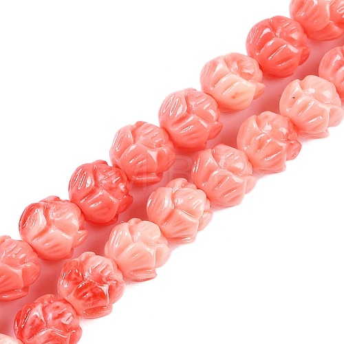 Synthetic Shell Dyed Carved Beads Strands SHEL-C008-01-1