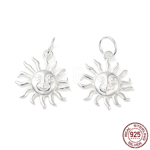 925 Sterling Silver Charms STER-NH0001-33S-1