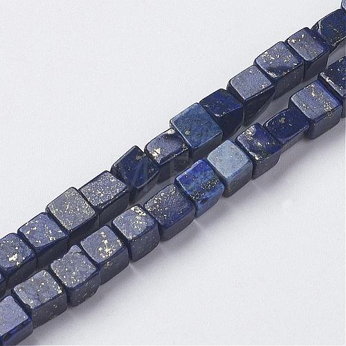 Natural Lapis Lazuli Beads Strands G-G968-H04-1