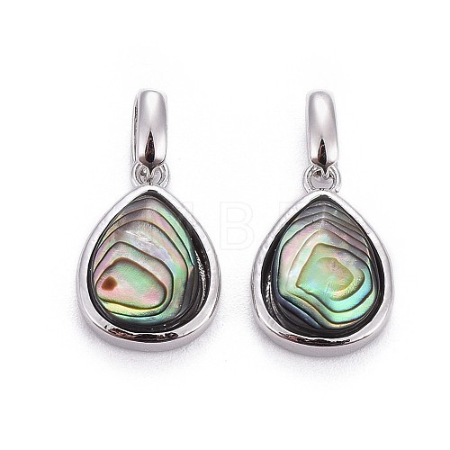 Natural Abalone Shell/Paua ShellCharms BSHE-F011-03B-P-1